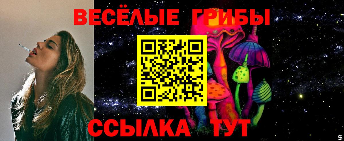Сызрань  Псилоцибиновые грибы Psilocybe  Вход с VPN 